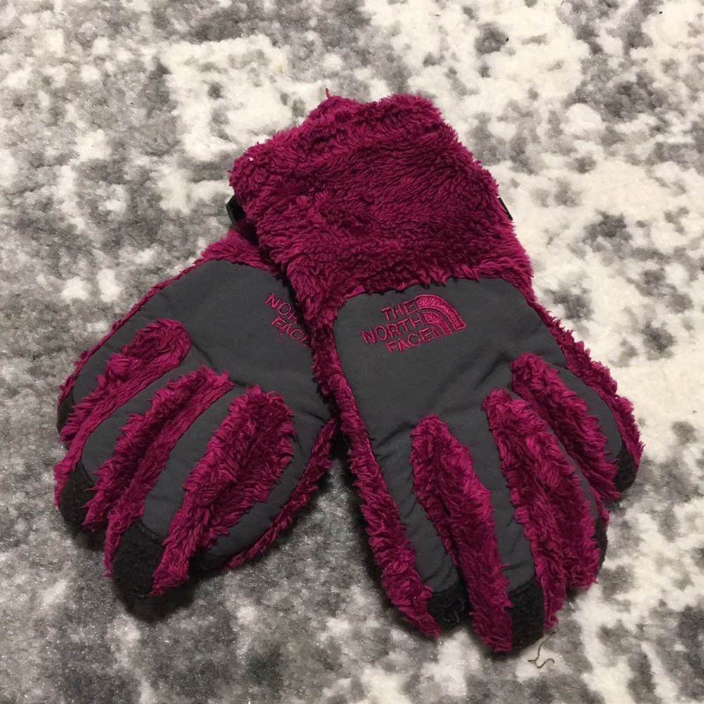 North Face Gloves
